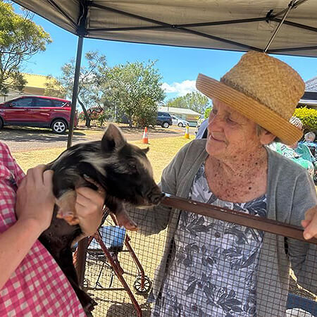 Resident pats piglet at petting zoo
